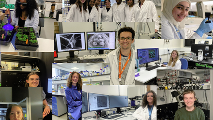 BioimagingUK studentships.png