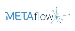 Metaflow.jpg
