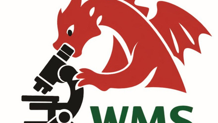 WMS-Logo cropped.jpg