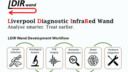 LDIR Wand web image.jpeg