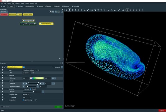 large-data-management-Xplore5D.jpg