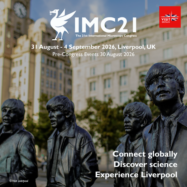 IMC21 Advert - Beatles