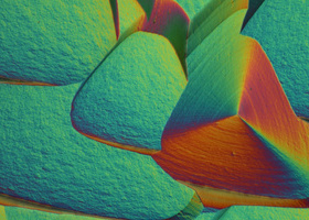 Royal Microscopical Society LMP6