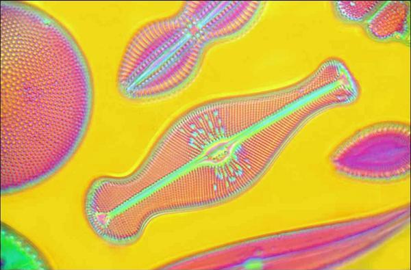 Picture2 resized.jpg