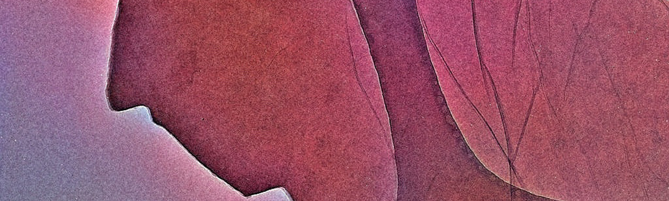 A Colorized Nanoscale Portrait with Graphene Oxide