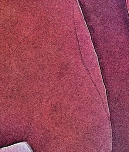 A Colorized Nanoscale Portrait with Graphene Oxide