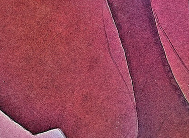 A Colorized Nanoscale Portrait with Graphene Oxide
