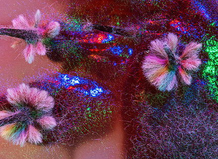 The Lovecraftian World - LML