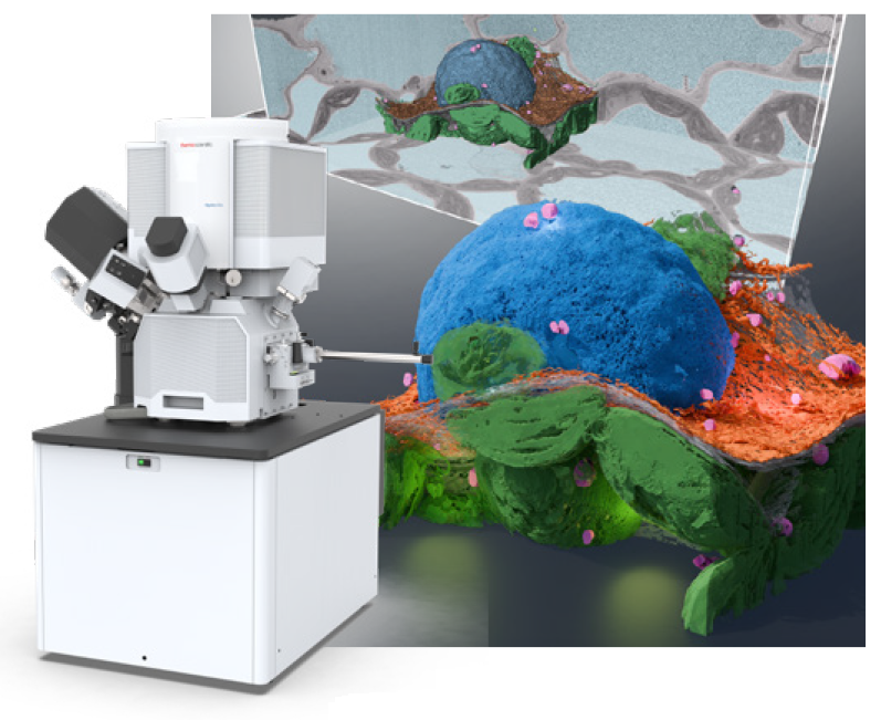 Thermo eBlast Image 2