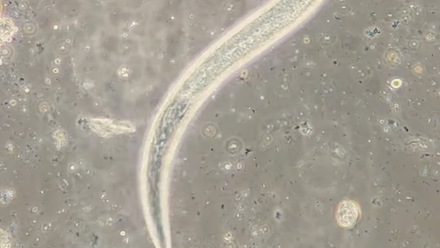 Why I upload my videos to YouTube web image.png