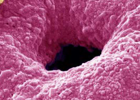 infocus 79 website banner