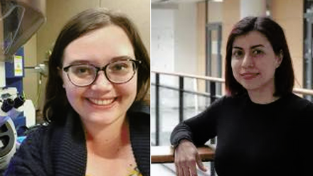 Journal prize-winners.png