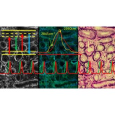 Exeter EPSRC Coherent Raman Imaging Facility.jpg