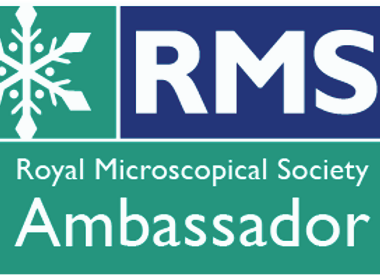 RMS Ambassador