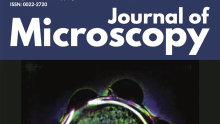 JMI_December_Cover (cropped).jpg