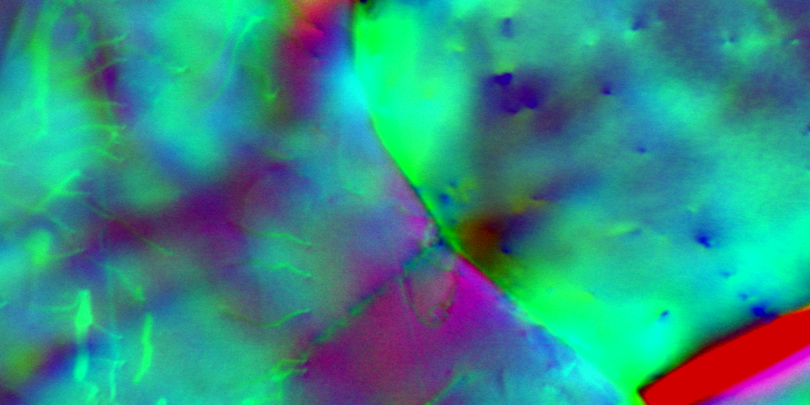 2019 Psychedelic Dislocated Splash EMP.jpg