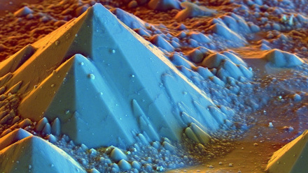 Royal Microscopical Society EMP3