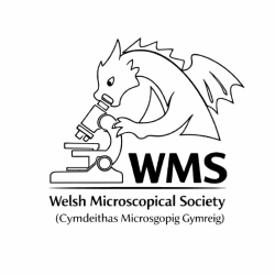 Welsh Microscopy Society Logo