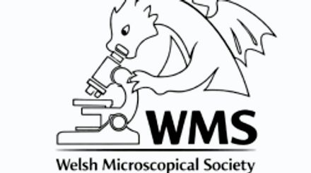 Welsh Microscopy Society Logo