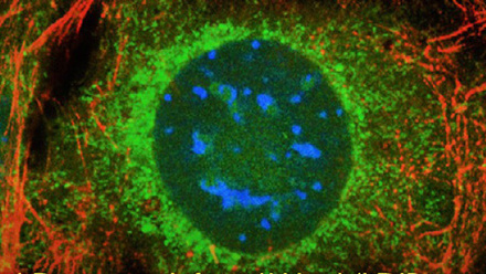 infocus 80 website banner