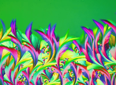 micrograph competition IMC