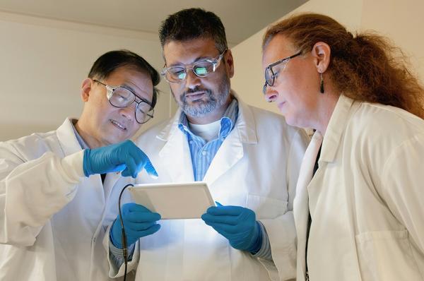 Scientists collaborating (resized).jpg