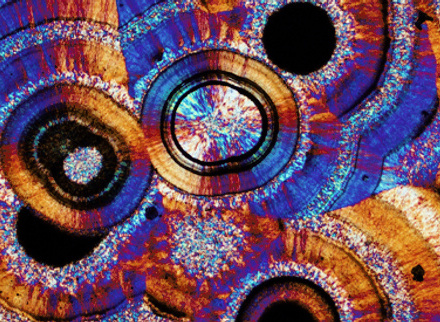 Polarized light photomicrograph of a thin section of 'Crazy Lace' Agate from Mexico. 