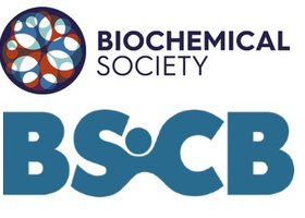 Dynamic Cell meeting.jpg