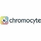Chromocyte - Website.jpg