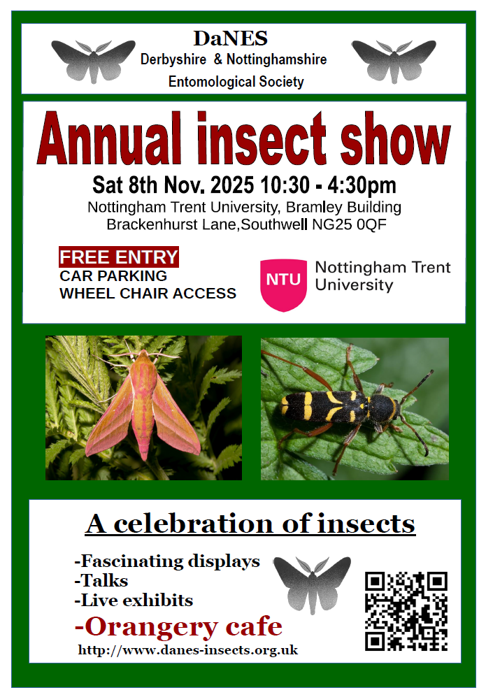 Insect Show