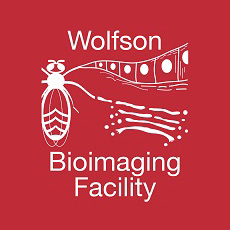 Wolfson Bioimaging Logo