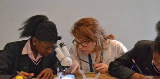 thumbnail 10 for gallery