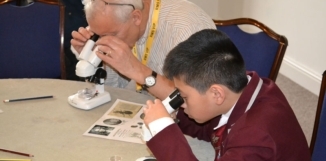 thumbnail 5 for gallery