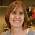 Diane Bassham Picture - Website.jpg