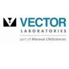 Vector Laboratories - Website.jpg