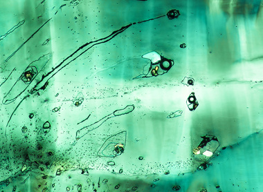 2019 Fish swimming in emerald deep sea LML.jpg