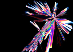 Royal Microscopical Society LML5