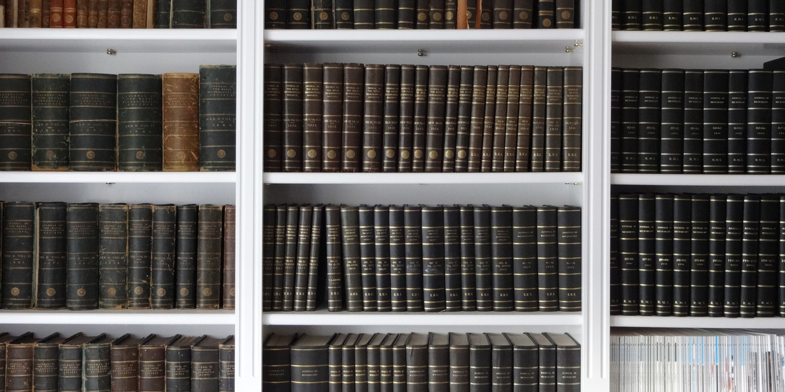 journal of microscopy backfile.jpg