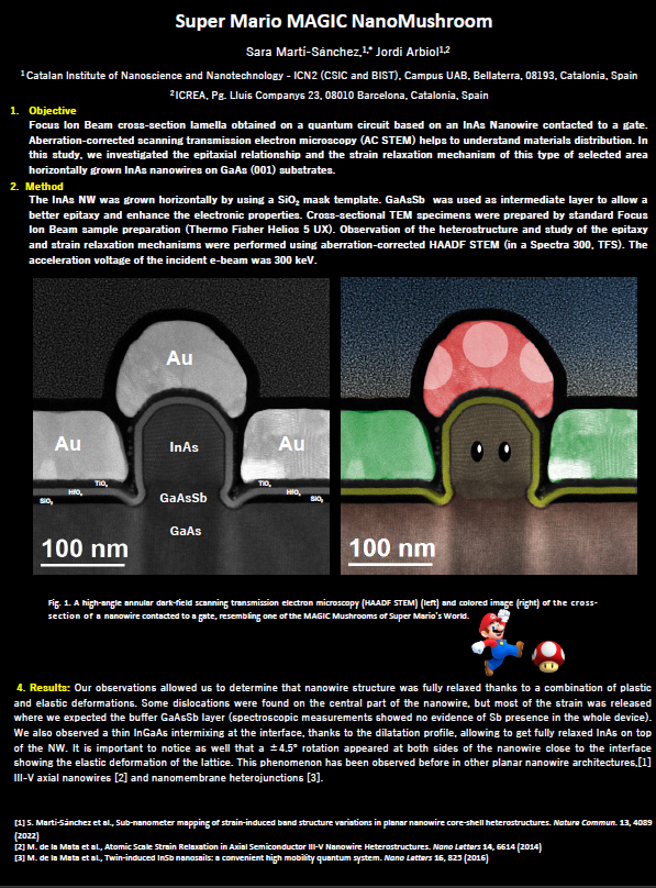 YSA Image Competition Example.png