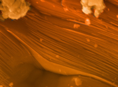 Grand MXene Canyon