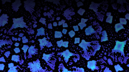 mmc2025 AFM & SPM Image Competition - Peptide Snowflakes by Christian Bortolini.jpg 1