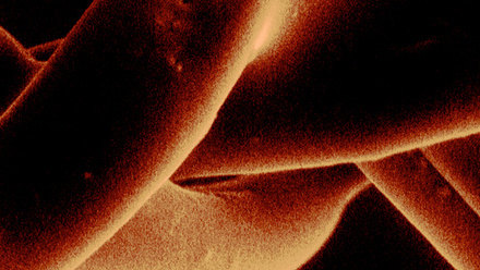 infocus 81 website banner