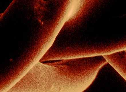 infocus 81 website banner